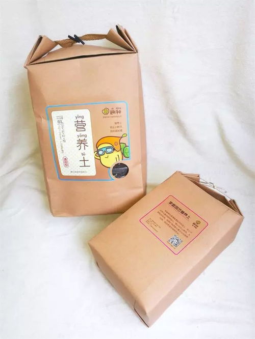 文創(chuàng)設(shè)計新風(fēng)尚：易經(jīng)八卦文化與親子蔬菜種植品牌的視覺融合